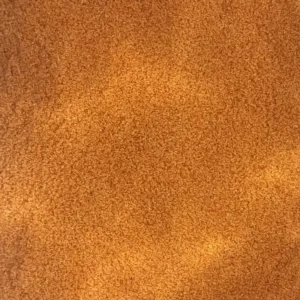 Artemia decapsulada (nutrición Premium)